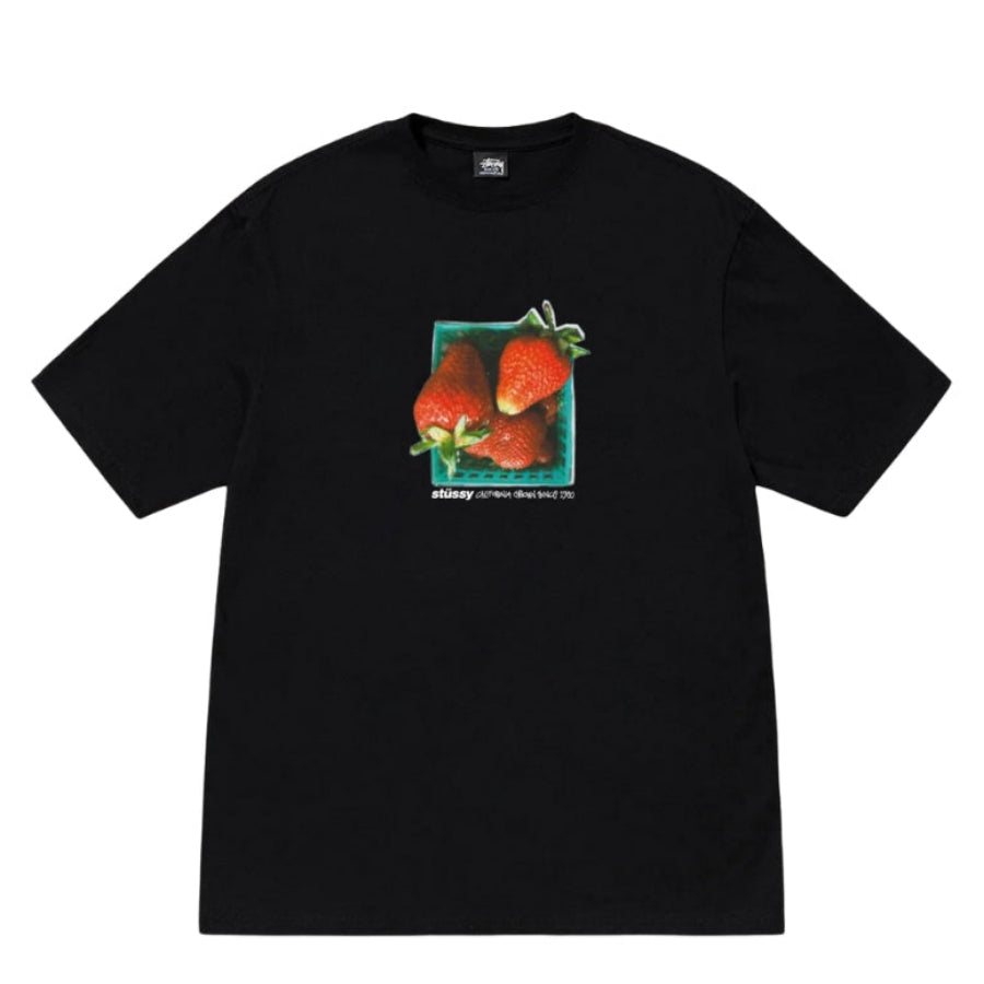 Stussy Tee Berries(黑色)