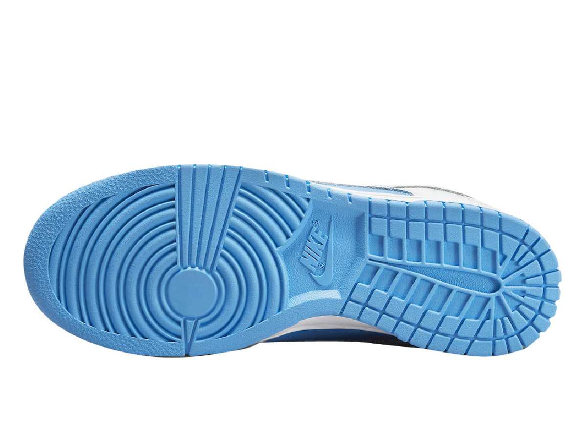Nike Dunk Low Reverse UNC (W)