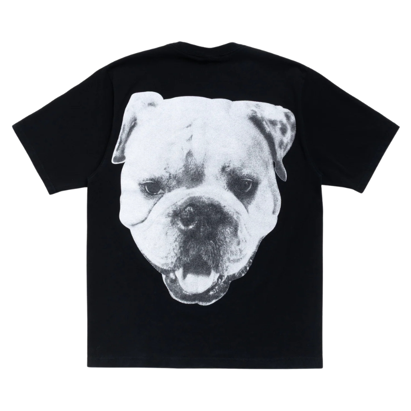 Stussy Tee Big Dog Stone Washed (BLACK)