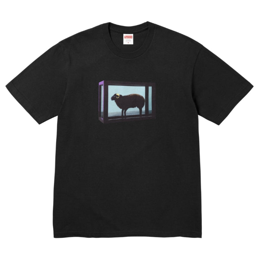 Supreme x Damien Hirst Tee (BLACK)