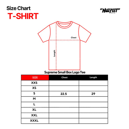 Supreme Small Box Logo Tee (WHITE)